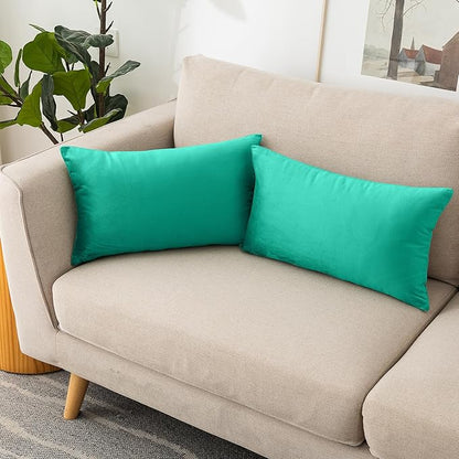 NiNi ALL Decorative Throw Pillow Covers Velvet 12x20 Inch Pack of 2 Aqua Green Cushion Covers Soft for Couch Sofa Bedroom Living Room Outdoor
