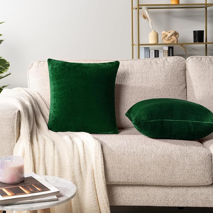 PAVILIA Emerald Green Throw Pillow Covers 18x18 Set of 2, Decorative Pillow Cases for Bed Sofa Couch, Boho Aesthetic Accent Decor Cushion Bedroom Living Room, Velvet Square Euro Sham Cover, Dark Green