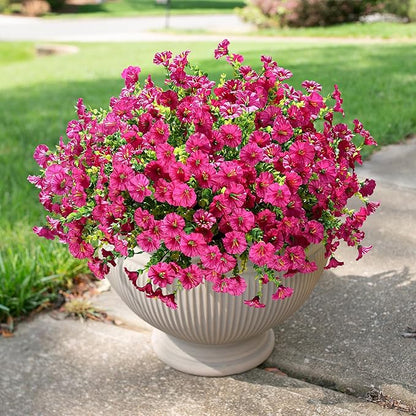 HyeFlora Artificial Flowers for Outdoors Fake Plants Outside Decoration, 12 Bundles Faux Fuchsia Morning Glory UV Resistant Look Real Silk Flowers for Outside Planter Front Door Porch Patio Yard Urn