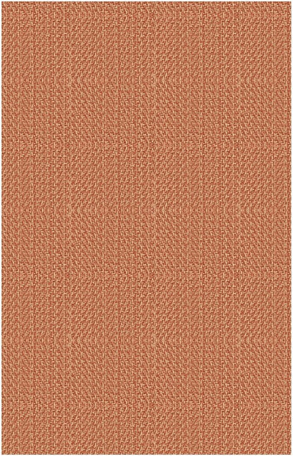 IOHOUZE Small Area Rug 2x3 Washable Woven Rugs for Entryway Non Slip Rubber Backed Front Door Rugs Indoor Doormat Throw Rug Floor Carpet for Entrance Kitchen, Rustic Orange