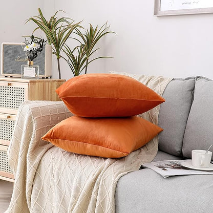 NiNi ALL Decorative Throw Pillow Covers Velvet 24x24 Inch Pack of 2 Orange Cushion Covers Soft for Couch Sofa Bedroom Living Room Outdoor