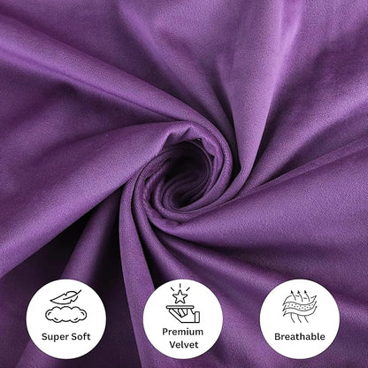 RELY+ Pack of 2 Throw Pillow Covers 16x16 Inch Velvet Soft Cozy Solid Decoration Gifts Pillow Covers Luxury Cushion Case for Sofa Couch Bedroom Living Room (Purple, 20 x 20)