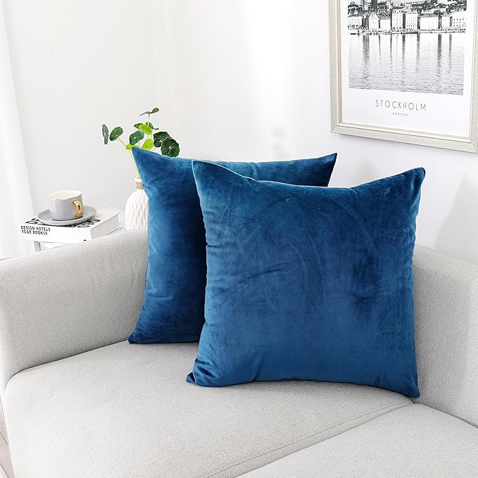 NiNi ALL Decorative Throw Pillow Covers Velvet 30x30 Inch Pack of 2 Blue Cushion Covers Soft for Couch Sofa Bedroom Living Room Outdoor