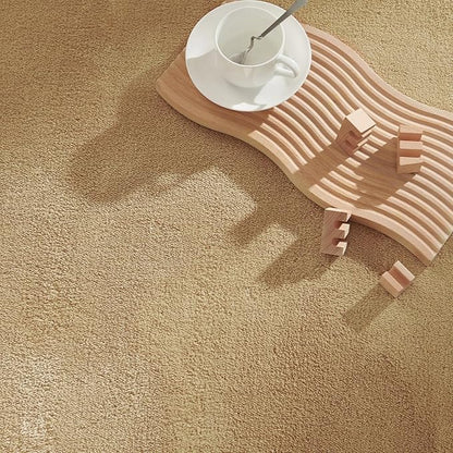 jinchan Solid Plush Area Rug 3x5 Performance Shaggy Washable Rug Indoor Soft Modern Faux Wool Cozy Non Slip Carpet for Living Room Kids Room Bedroom Dining Room Nursery Tan