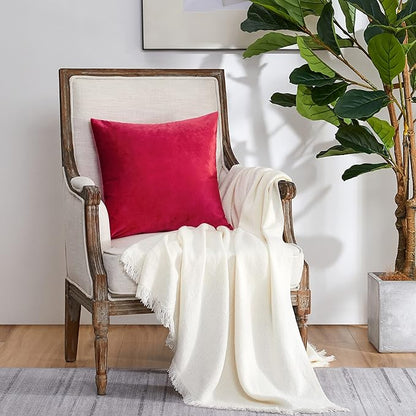 GIGIZAZA Red Velvet Decorative Throw Pillow Covers for Sofa Bed 2 Pack Soft Cushion Cover