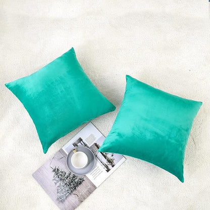 NiNi ALL Decorative Throw Pillow Covers Velvet 22x22 Inch Pack of 2 Aqua Green Cushion Covers Soft for Couch Sofa Bedroom Living Room Outdoor