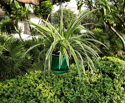 Meicynhoger 2-Pack Vintage Plastic Self-Watering Hanging Planters for Spider Plant,Ivy - 6.5" Clear Flower Pot with Hooks for Indoor Outdoor,Table, Balcony, Wall,Deck,Garden Green