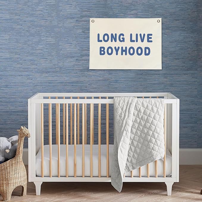Canvas Banner Hanging Flag Banner for Nursery and Playroom Wall Décor for Kids Trendy Room Décor for Boys and Girls (Boyhood-blue)