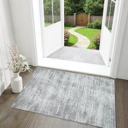 Gray Washable Non Slip Bathroom Rug Modern Aesthetic Abstract 2x3 Rug for Kitchen Floor Small Soft Light Grey Floor Protector Carpet for Entryway Bedside 2 x 3