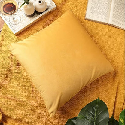 RELY+ Pack of 2 Throw Pillow Covers 16x16 Inch Velvet Soft Cozy Solid Decoration Gifts Pillow Covers Luxury Cushion Case for Sofa Couch Bedroom Living Room (Yellow, 16 x 16)