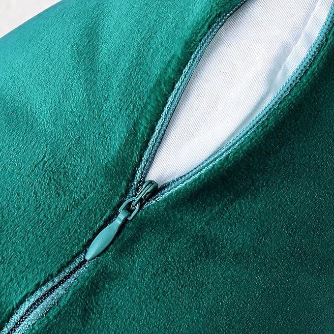 NiNi ALL Decorative Teal Throw Pillow Covers Pack of 2 Velvet 12x12 Inch Throw Pillow Cases for Couch Pillows Cover Bedroom Living Room Outdoor Pillows Cover