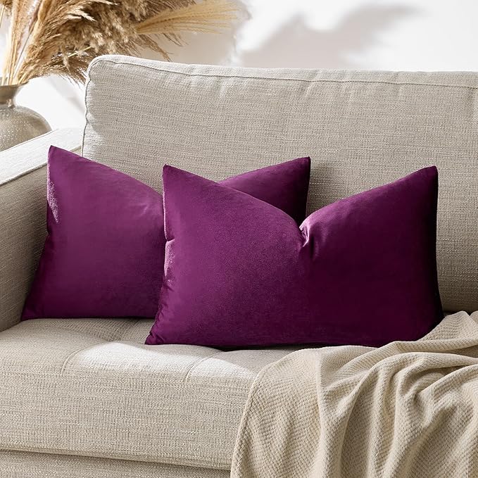 Purple Velvet Decorative Throw Pillow Covers for Sofa Bed 2 Pack Soft Cushion Cover
