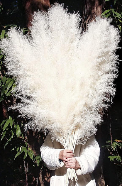 46" inch 10 Stems Cream Pampas Grass Decor Tall, Dry Flowers for Floor Vases Decor, Natural Dried Flowers for Wedding, Natural Home Decor, Wall Grass, Glam Decor
