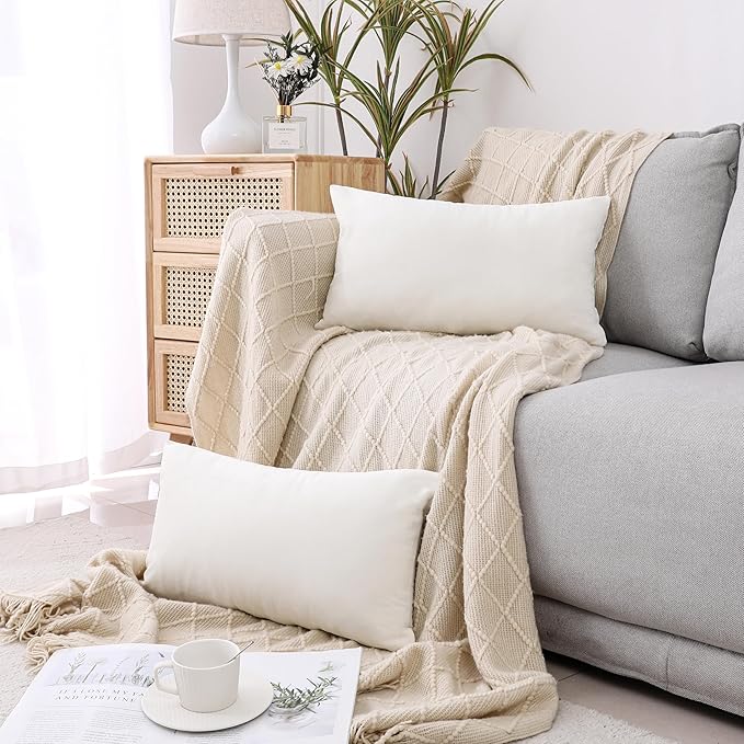 NiNi ALL Decorative Throw Pillow Covers Velvet 20x30 Inch Pack of 2 Cream White Cushion Covers Soft for Couch Sofa Bedroom Living Room Outdoor