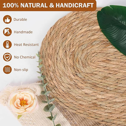 Oval Woven Placemats Set of 8, 16"x 12"Braided Rattan Table Mats,Farmhouse Rattan Chargers for Dinner Plates,Boho Vintage Table Mats for Christmas Home Dining Kitchen Parties Decoration