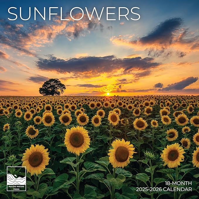 Sunflowers Wall Calendar 2026 | Sunflower Field Calendar | 12" x 24" Open | Giftable Flowers Calendar 2026 | Thick & Sturdy Paper | Pacific Waters Press (Sunflowers)