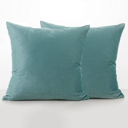NiNi ALL Decorative Throw Pillow Covers Pack of 2, Velvet Cushion Case for Couch Bedroom Living Room Outdoor, Pillow Covers 20x20 Inch（50 x 50 cm） Light Blue