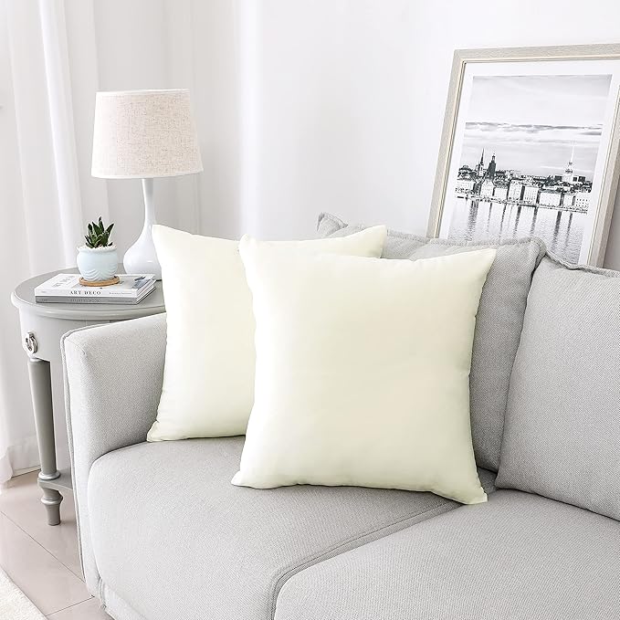 NiNi ALL Decorative Throw Pillow Covers Pack of 2, Velvet Throw Pillow Cases for Couch Pillows Cover Bedroom Living Room Outdoor, Pillow Covers 24x24 Inch Cream White