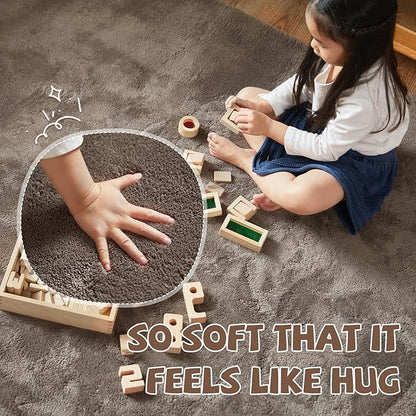 jinchan Solid Plush Area Rug 2x3 Performance Shaggy Washable Rug Indoor Entryway Doormat Soft Modern Faux Wool Cozy Non Slip Carpet for Living Room Kid Room Bedroom Nursery Brown