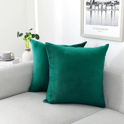 NiNi ALL Decorative Throw Pillow Covers Velvet 22x22 Inch Pack of 2 Teal Cushion Covers Soft for Couch Sofa Bedroom Living Room Outdoor