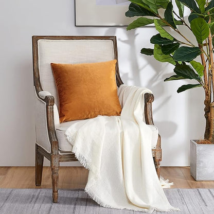 GIGIZAZA Decorative Throw Pillow Covers for Sofa,Cinnamon Orange Velvet Bed 2 Pack Soft Cushion Cover