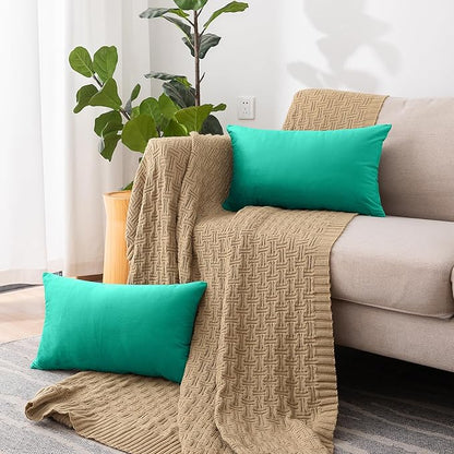 NiNi ALL Decorative Throw Pillow Covers Velvet 12x20 Inch Pack of 2 Aqua Green Cushion Covers Soft for Couch Sofa Bedroom Living Room Outdoor