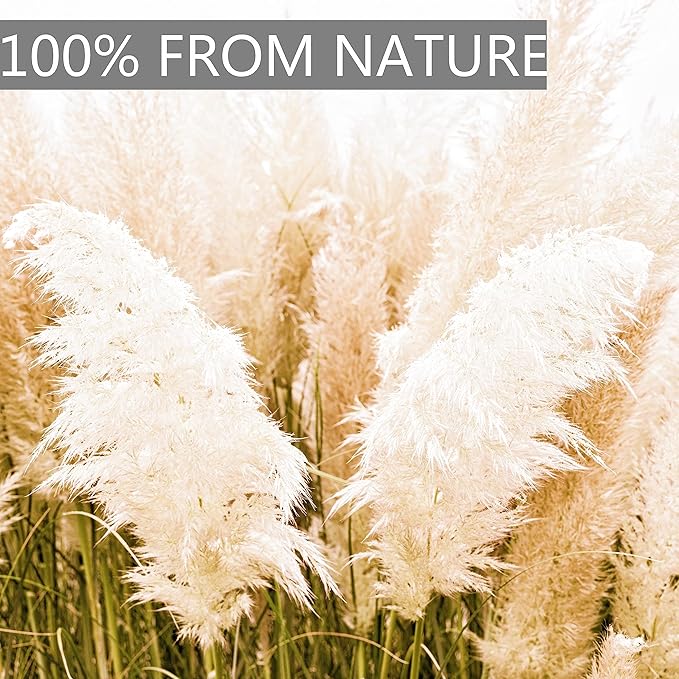 10pcs 40'' Pampas Grass Tall Decor - Pompas Floral, Tall Pampas Grass for Floor Vases, Living Room Floor, Floor Plants, Plumas para, and Grass Wall Decor
