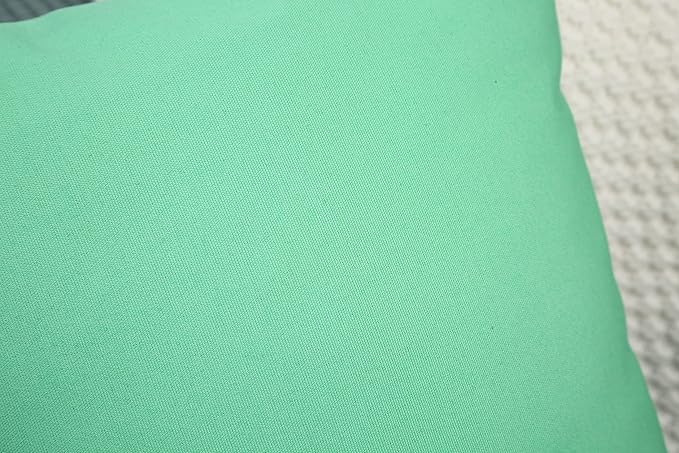 TangDepot Handmade Decorative Solid 100% Cotton Canvas Throw Pillow Covers/Cushion Covers, 45 Colors Available - (26" x 26" , Mint Green, 1 Count (Pack of 1))