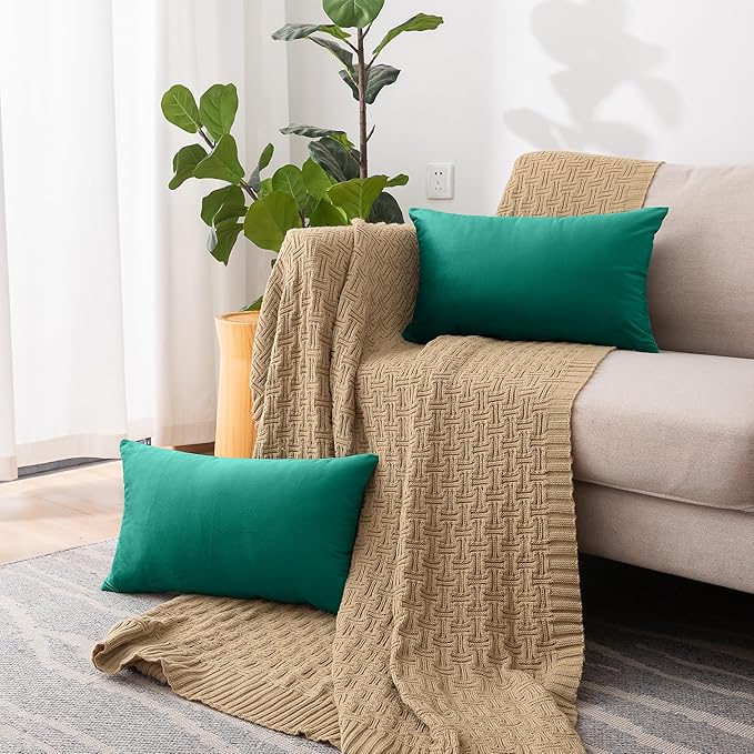 NiNi ALL Decorative Throw Pillow Covers Velvet 12x20 Inch Pack of 2 Teal Cushion Covers Soft for Couch Sofa Bedroom Living Room Outdoor
