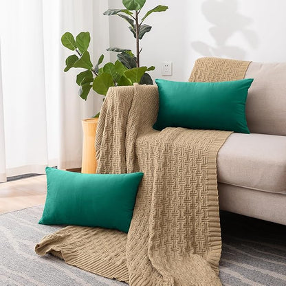 NiNi ALL Decorative Throw Pillow Covers Velvet 12x20 Inch Pack of 2 Teal Cushion Covers Soft for Couch Sofa Bedroom Living Room Outdoor