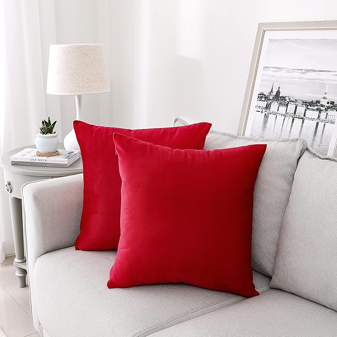 NiNi ALL Decorative Throw Pillow Covers Velvet Soft for Couch Sofa Bedroom Living Room Outdoor Pack of 2 18x18 Inch Red