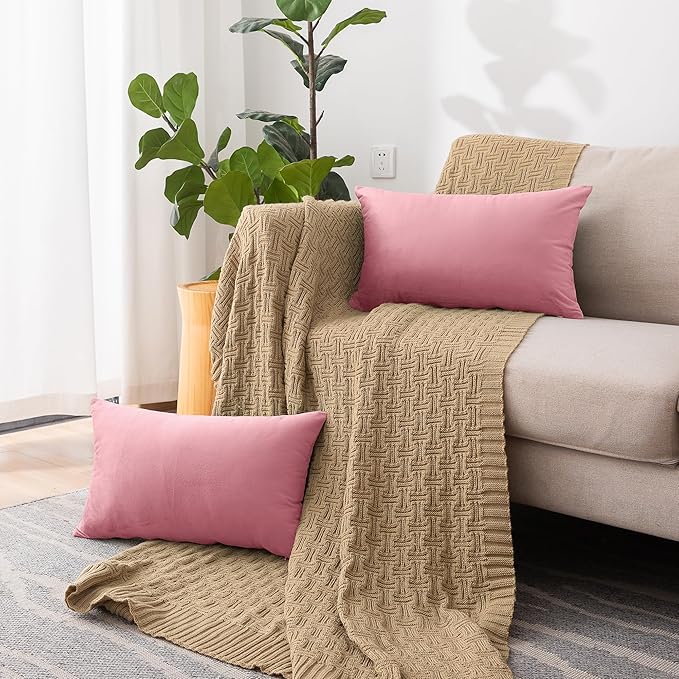 NiNi ALL Decorative Throw Pillow Covers Velvet 20x30 Inch Pack of 2 Pink Cushion Covers Soft for Couch Sofa Bedroom Living Room Outdoor