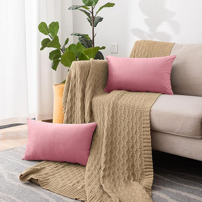 NiNi ALL Decorative Throw Pillow Covers Velvet 20x30 Inch Pack of 2 Pink Cushion Covers Soft for Couch Sofa Bedroom Living Room Outdoor