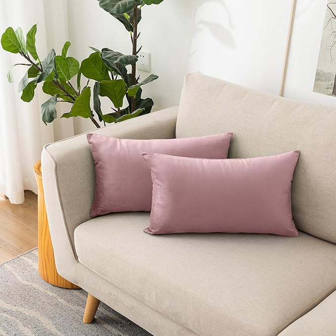 NiNi ALL Decorative Throw Pillow Covers Velvet 20x30 Inch Pack of 2 Dusty Pink Cushion Covers Soft for Couch Sofa Bedroom Living Room Outdoor