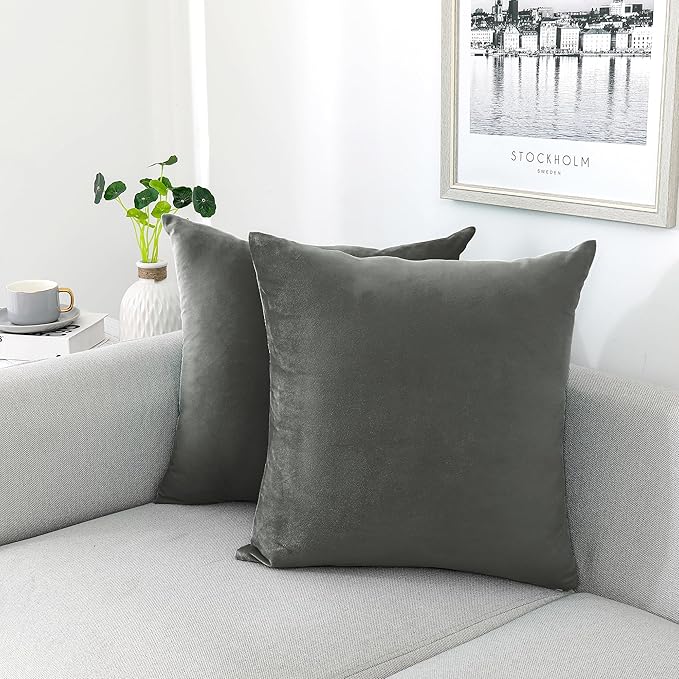 NiNi ALL Decorative Throw Pillow Covers Velvet 24x24 Inch Dark Grey Pack of 2 Cushion Covers Soft for Couch Sofa Bedroom Living Room Outdoor