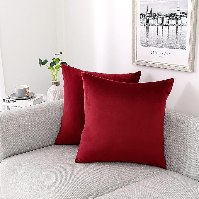 NiNi ALL Decorative Throw Pillow Covers Velvet 16x16 Inch Pack of 2 Burgundy Red Cushion Covers Soft for Couch Sofa Bedroom Living Room Outdoor