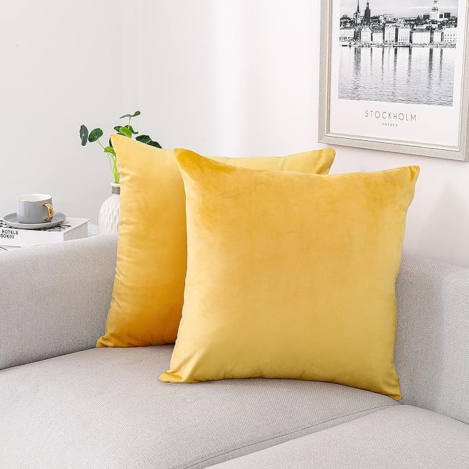 NiNi ALL Decorative Throw Pillow Covers Velvet Soft for Couch Sofa Bedroom Living Room Outdoor Pack of 2 20x20 Inch Yellow