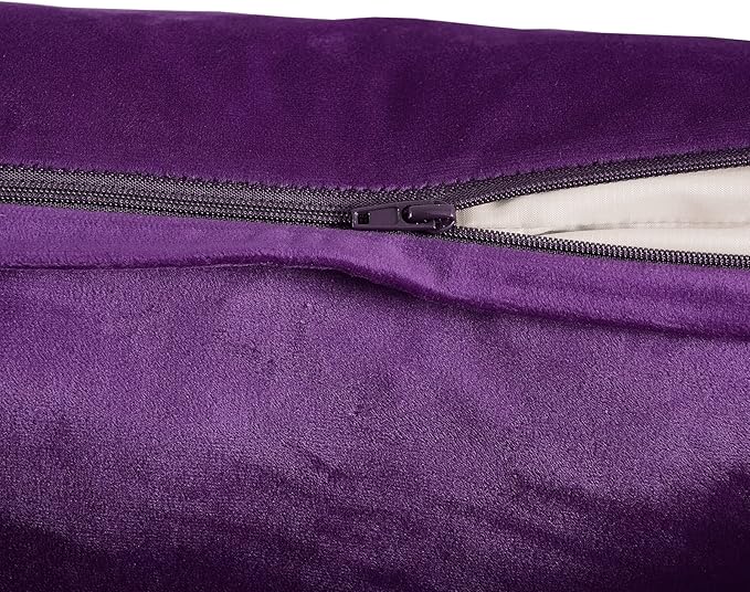 FY FIBER HOUSE Pack of 2 Velvet Throw Pillow Covers Decorative Square Pillowcase Soft Solid Cushion Case for Sofa/Couch Use, 18 x 18 Inch Purple