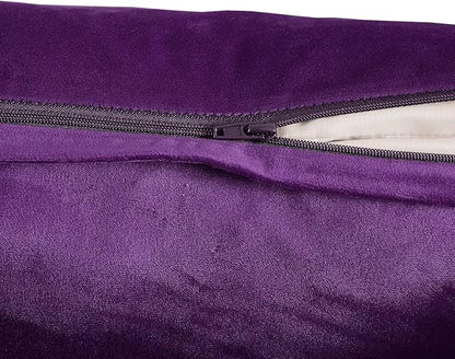 FY FIBER HOUSE Pack of 2 Velvet Throw Pillow Covers Decorative Square Pillowcase Soft Solid Cushion Case for Sofa/Couch Use, 18 x 18 Inch Purple