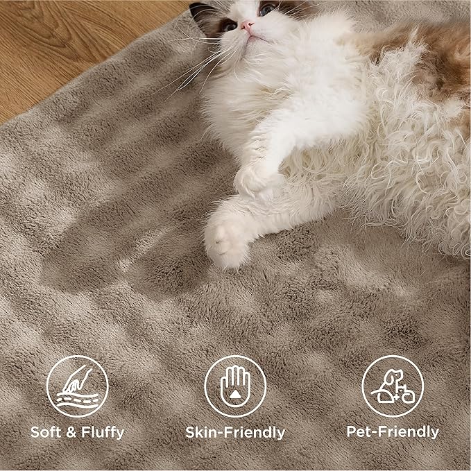 Bedsure 5x7 Fluffy Area Rugs for Living Room, Machine Washable Rugs, Non-Slip Backing, Non-Shedding, Pet Friendly Throw Rug for Bedroom Dining Room, Brown