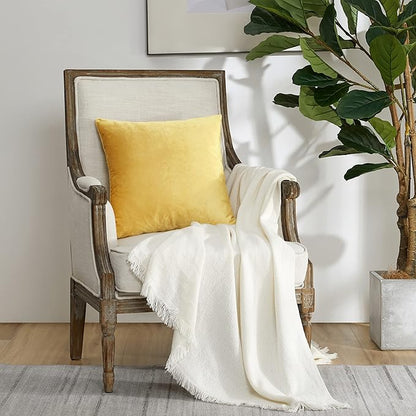 GIGIZAZA 18x18 Yellow Velvet Decorative Throw Pillow Covers for Sofa Bed 2 Pack Soft Cushion Cover