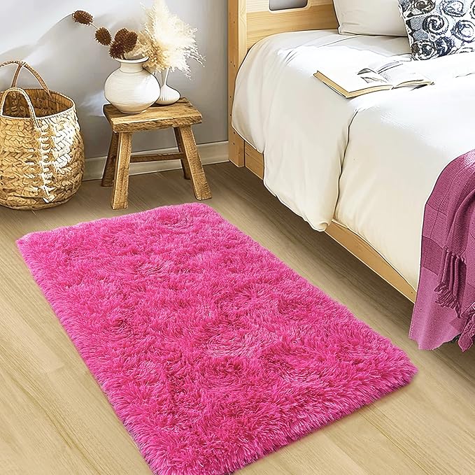 Small Rugs for Bedroom, Fuzzy Throw Rug for Living Room Dorm, Soft Fluffy Bedroom Rug, Non Slip Shag Rugs, Modern Indoor Home Decor Aesthetic, 2x3 Feet, Hot Pink