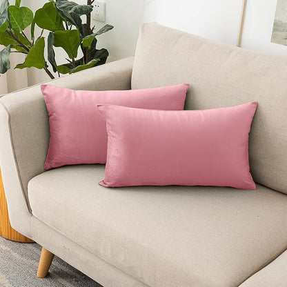 NiNi ALL Decorative Throw Pillow Covers Velvet 20x30 Inch Pack of 2 Pink Cushion Covers Soft for Couch Sofa Bedroom Living Room Outdoor