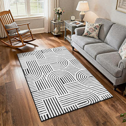 SHACOS Soft Cozy Fluffy Arch Pattern High Low Pile Rugs 4'x6' Non Slip Washable Scandinavian Minimalist Rug Modern Geometric Arc Carpet for Living Room Bedroom Dining Room, Black White
