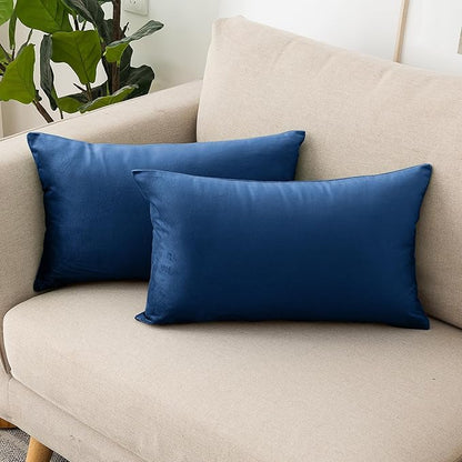 NiNi ALL Decorative Throw Pillow Covers Velvet 20x30 Inch Pack of 2 Blue Cushion Covers Soft for Couch Sofa Bedroom Living Room Outdoor