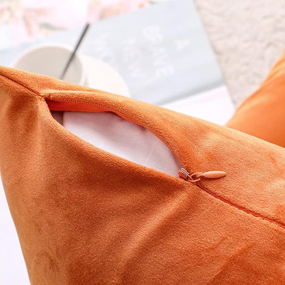 NiNi ALL Decorative Throw Pillow Covers Pack of 2, Halloween Velvet Cushion Case for Couch Bedroom Living Room Outdoor, Pillow Covers 20x20 Inch（50 x 50 cm） Orange