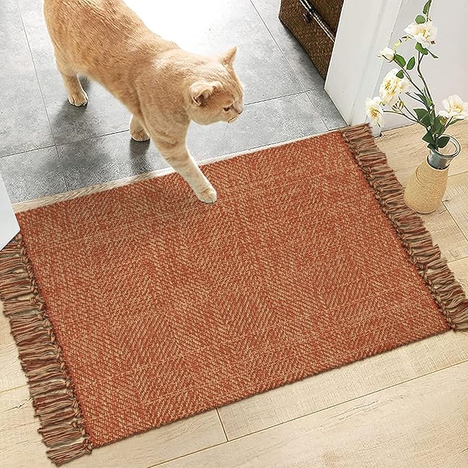 Collive Small Bathroom Rug, 2' x 3' Hand-Woven Low Profile Front Entryway Rug, Terracotta Cotton Reversible Washable Kitchen Rug Modern Farmhouse Carpet for Foyer Bedroom Front Door Fall Decor
