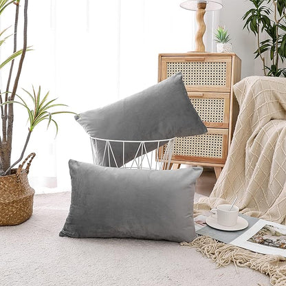 NiNi ALL Decorative Throw Pillow Covers Pack of 2, Velvet Throw Pillow Cases for Couch Pillows Cover Bedroom Living Room Outdoor, Pillow Covers 12x20 Inch Grey