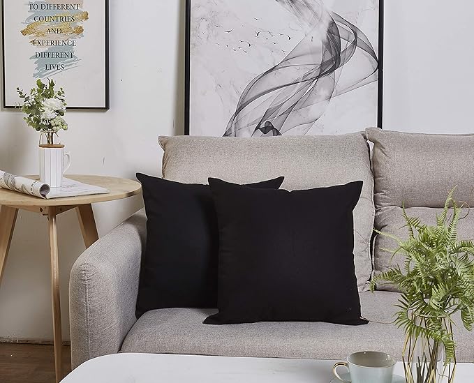 TangDepot Handmade Decorative Solid 100% Cotton Canvas Throw Pillow Covers/Cushion Covers, 45 Colors Available - (20" x20" , Black, 2 Count (Pack of 1))
