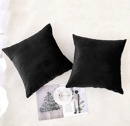 NiNi ALL Decorative Throw Pillow Covers Pack of 2 Velvet Throw Pillow Cases for Couch Pillows Cover Bedroom Living Room Outdoor, Pillow Covers 20x20 Inch Black